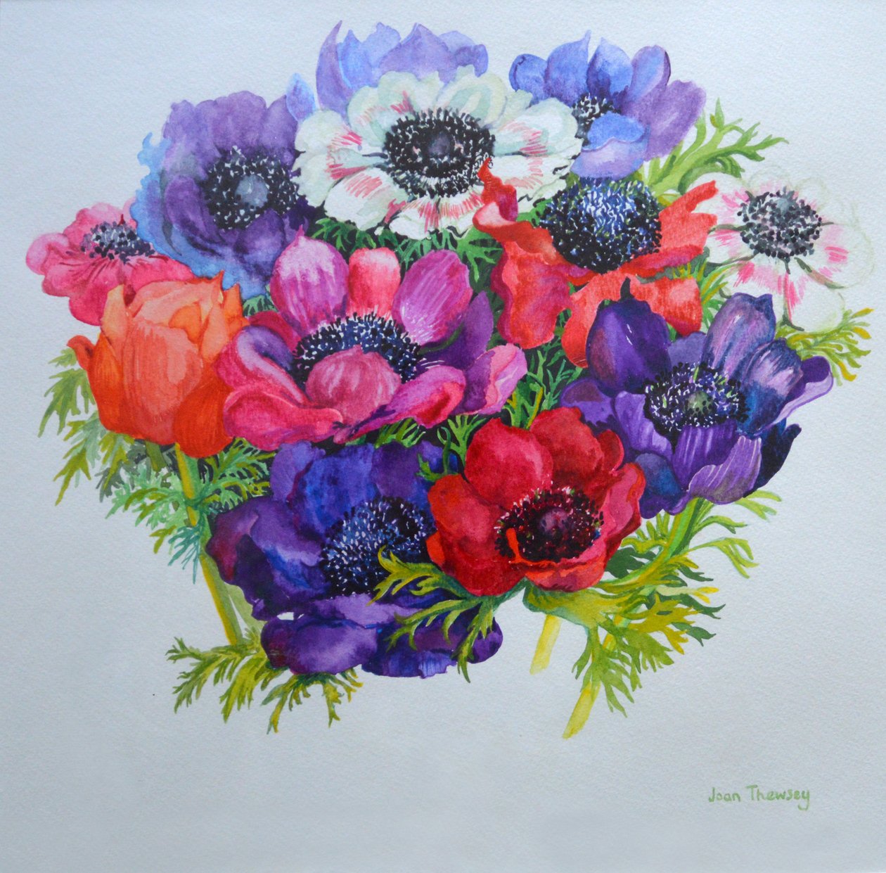Anemoner: rød, hvid, pink og lilla, 2000, af Joan Thewsey