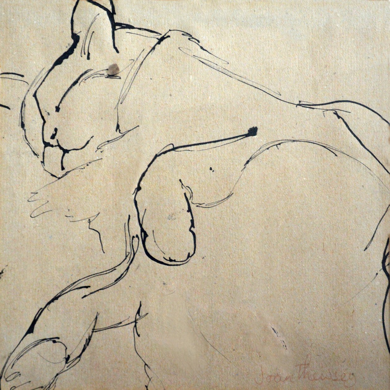 Cat, Mouser, 1980, (pen og blæk) af Joan Thewsey