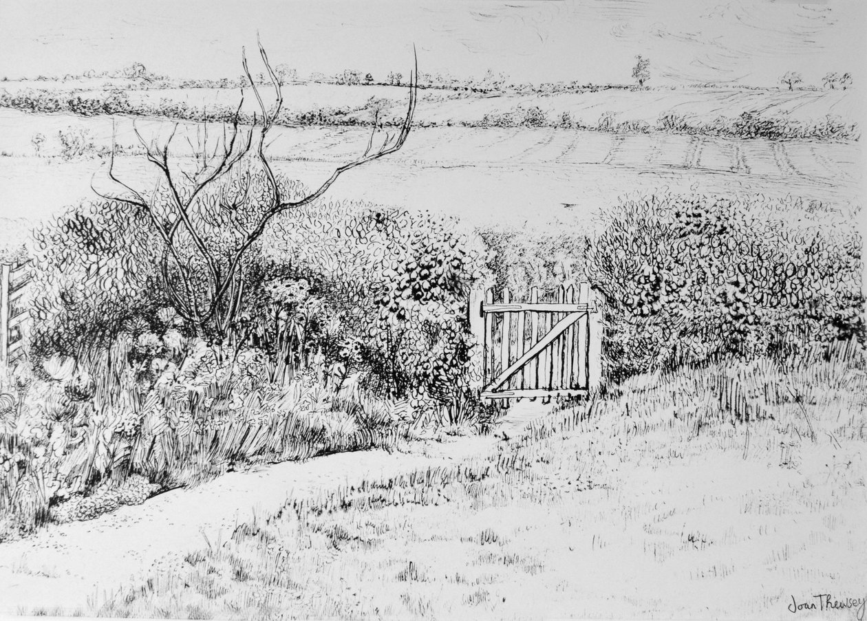 Cottage Gate and View Beyond, 2015, (pen og blæk) af Joan Thewsey
