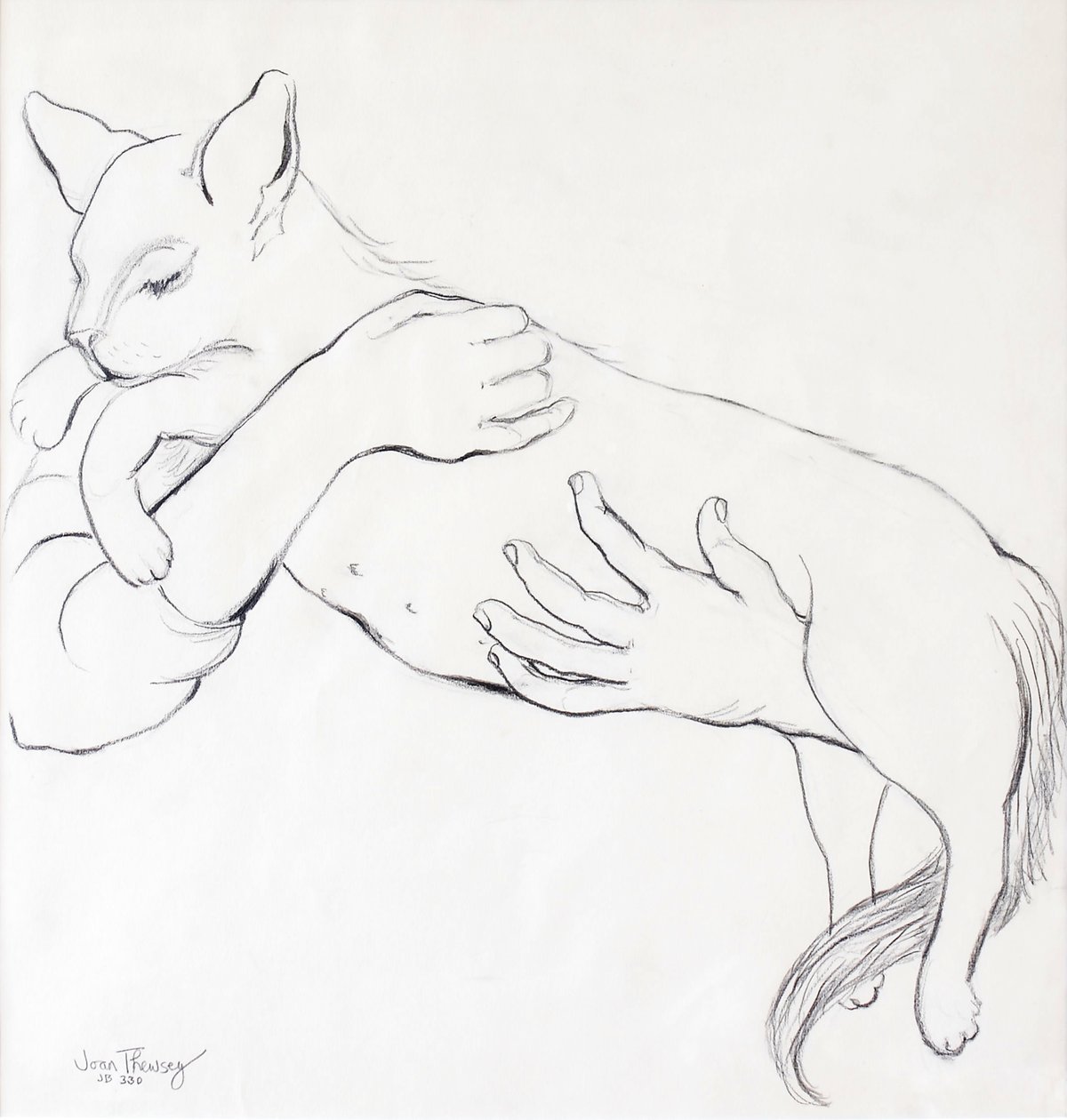 Cuddly Cat, 2000, (blyant) af Joan Thewsey