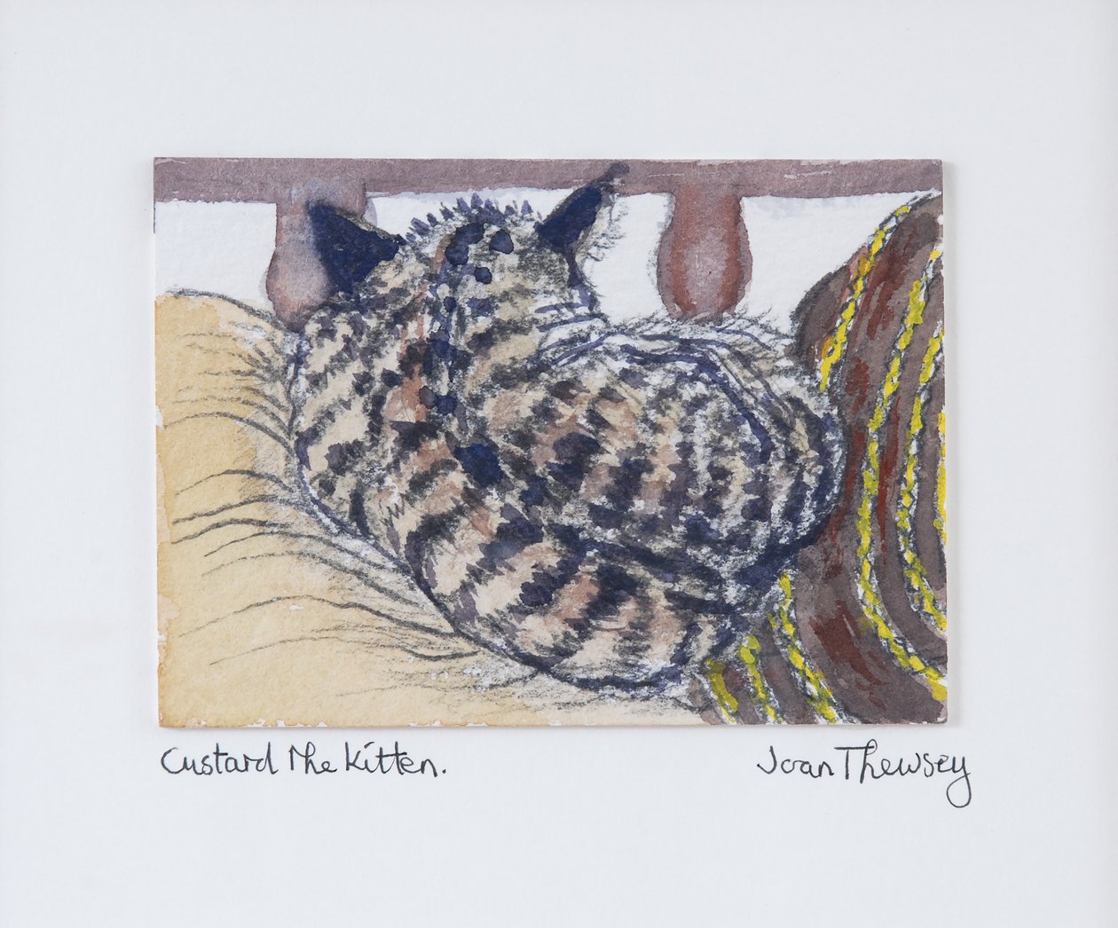 Custard the Kitten, 2005, (blyant og akvarel) af Joan Thewsey