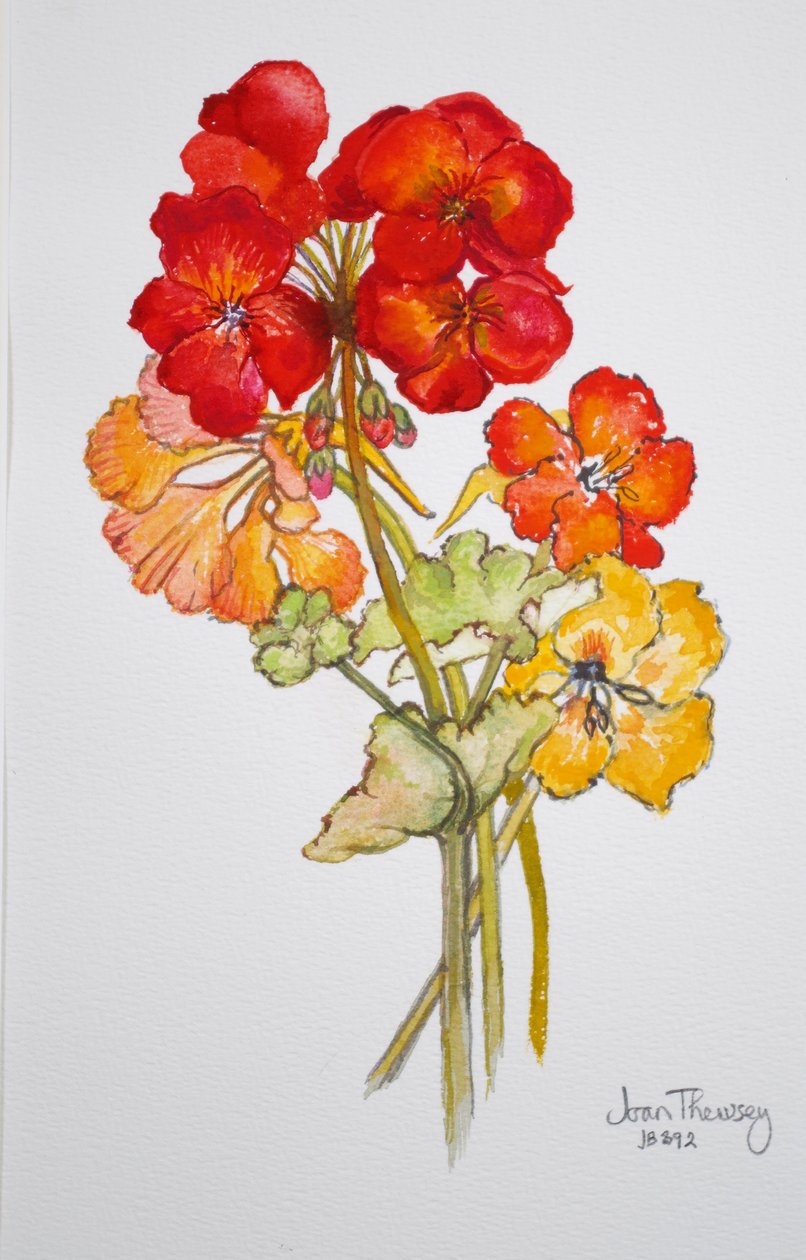 Geranium og Nasturtium,2014,akvarel af Joan Thewsey