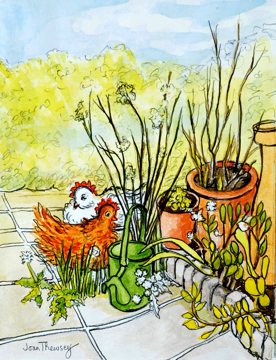 Høns og krukker, Lucy Redman Open Garden, 2000, (blyant med akvarel) af Joan Thewsey