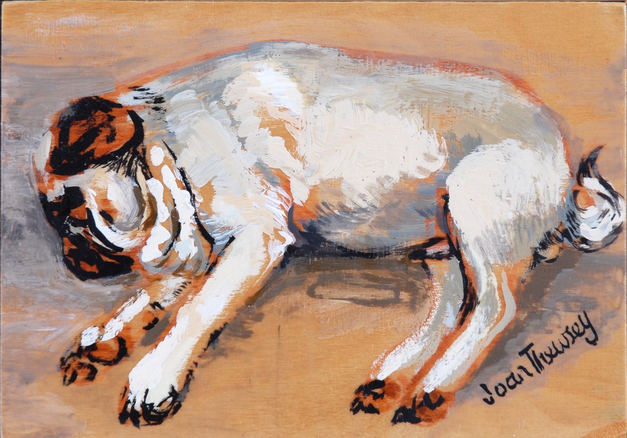 Hogarth Sleeping, 2005, (gouache) af Joan Thewsey