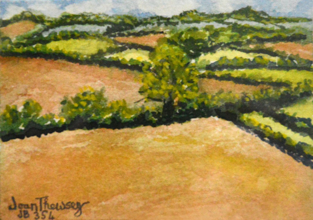 Little Suffolk Landscape, 2000 af Joan Thewsey