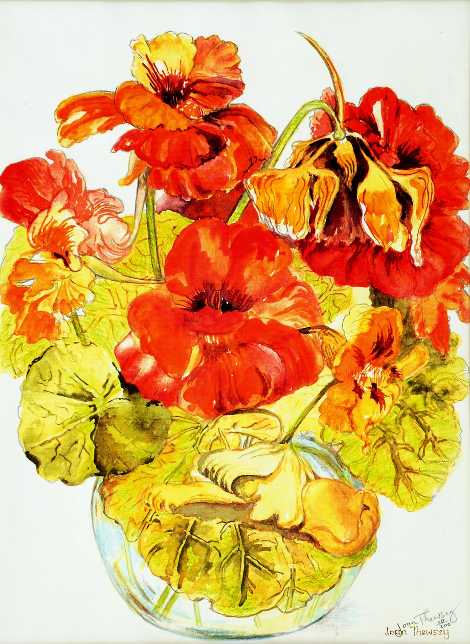 Nasturtiums, 2005, (vandfarve) af Joan Thewsey