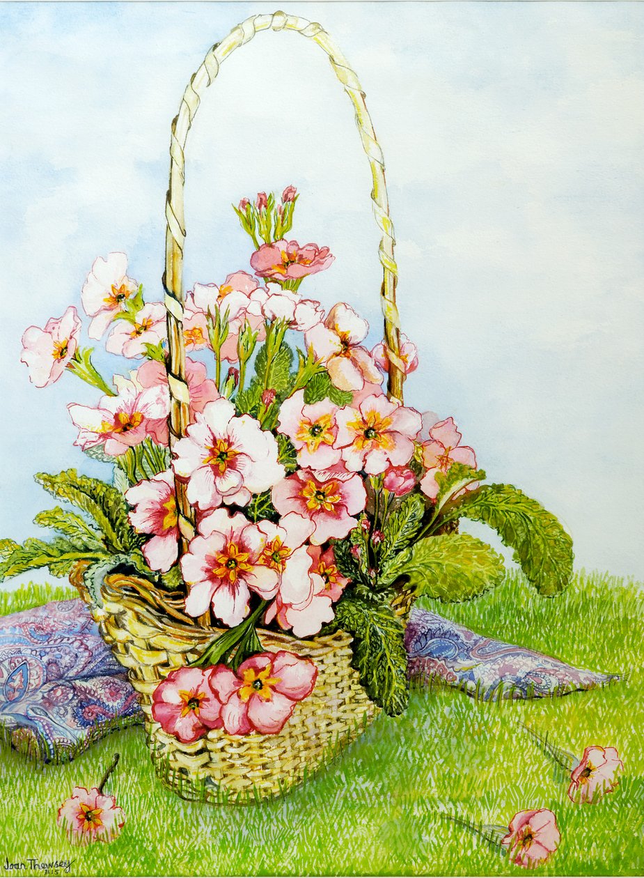 Pink Primroses i en blomsterhandlerkurv med et Paisley-tørklæde, 2010, akvarel af Joan Thewsey