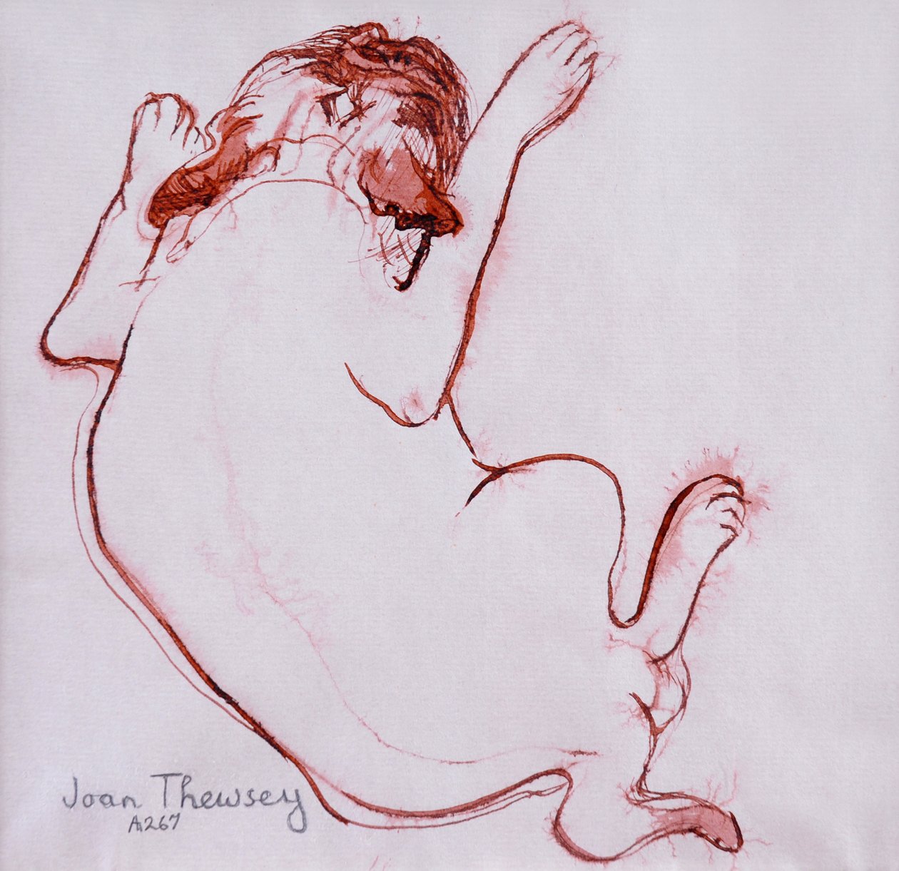 Mops Hvalp 1, 2005, (Blæk på vådt papir) af Joan Thewsey