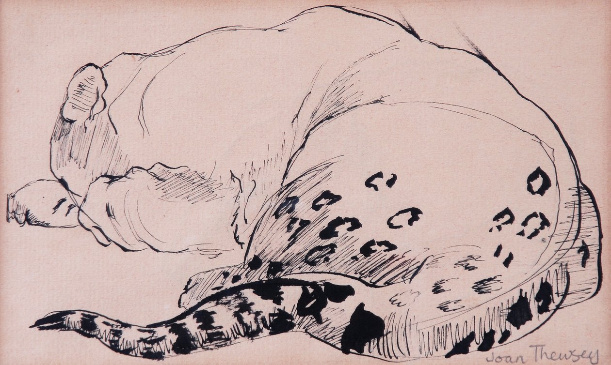Sketch, Leopard, London Zoo 2005, (pen og blæk) af Joan Thewsey