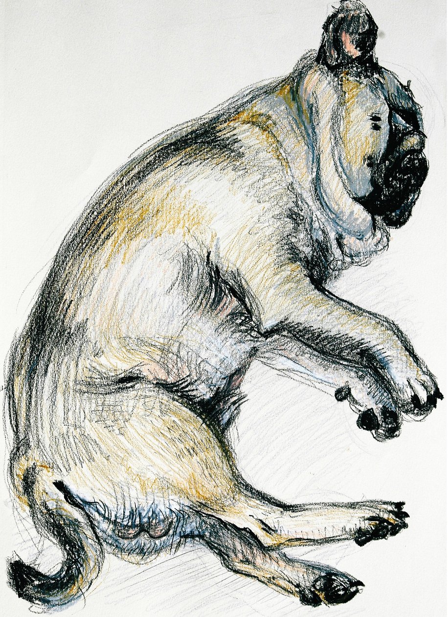 Sleeping Pug One, 2000, (oliepastel) af Joan Thewsey