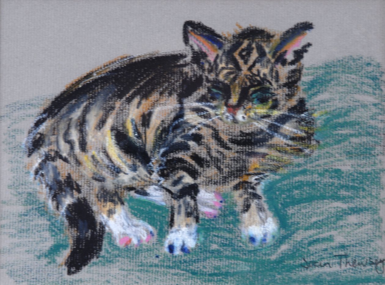 Tabby Cat, 2005 (pastel) af Joan Thewsey