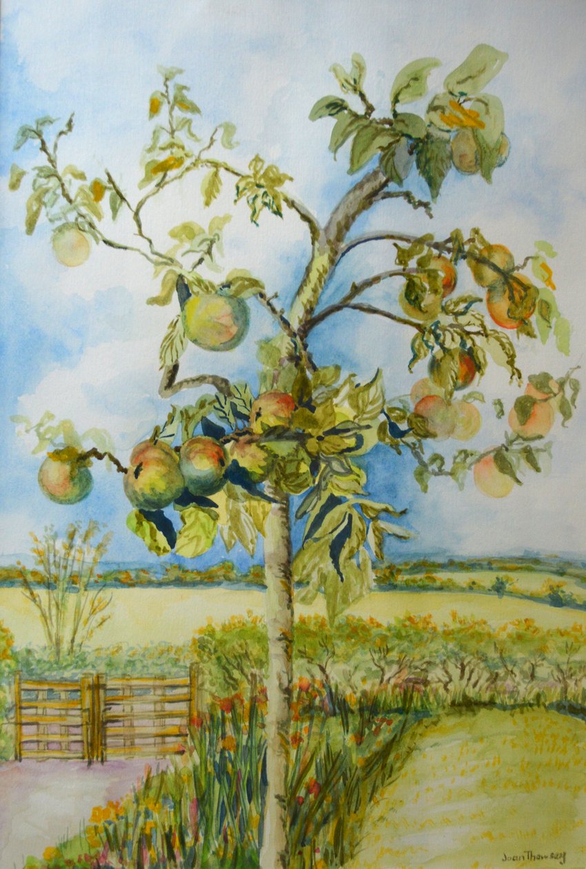 Æbletræet, 2001 af Joan Thewsey