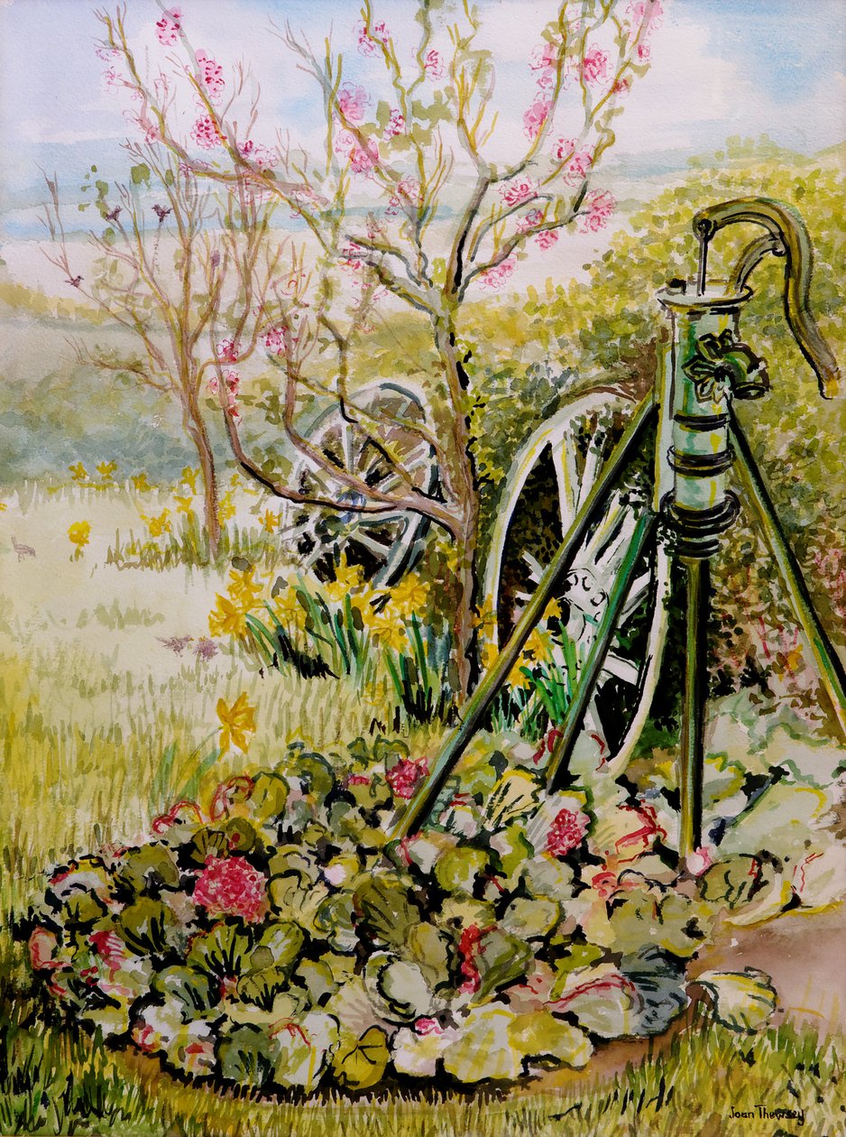 Havepumpen,2010,akvarel af Joan Thewsey