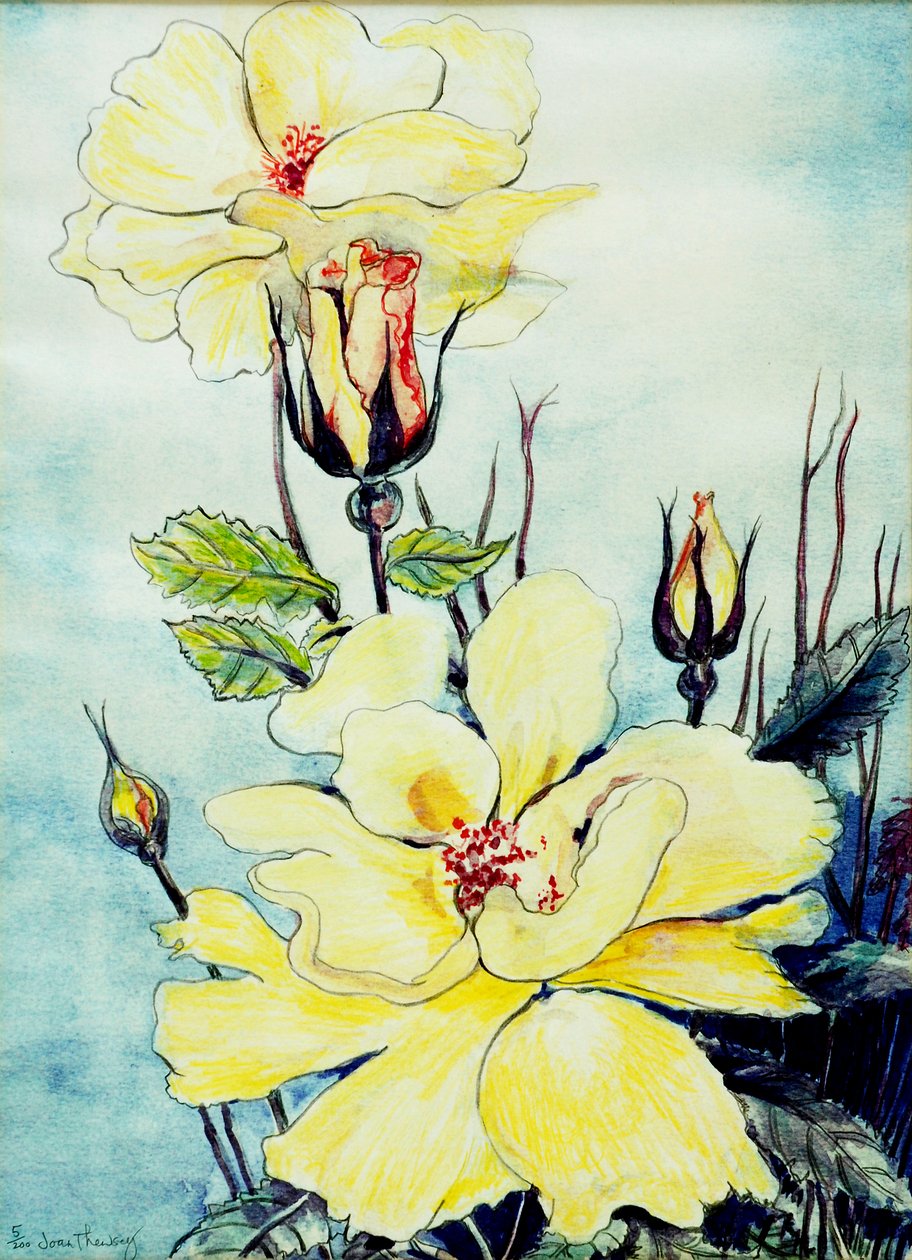 Yellow Rose in a Suffolk Breeze, 2005, (vandfarve) af Joan Thewsey