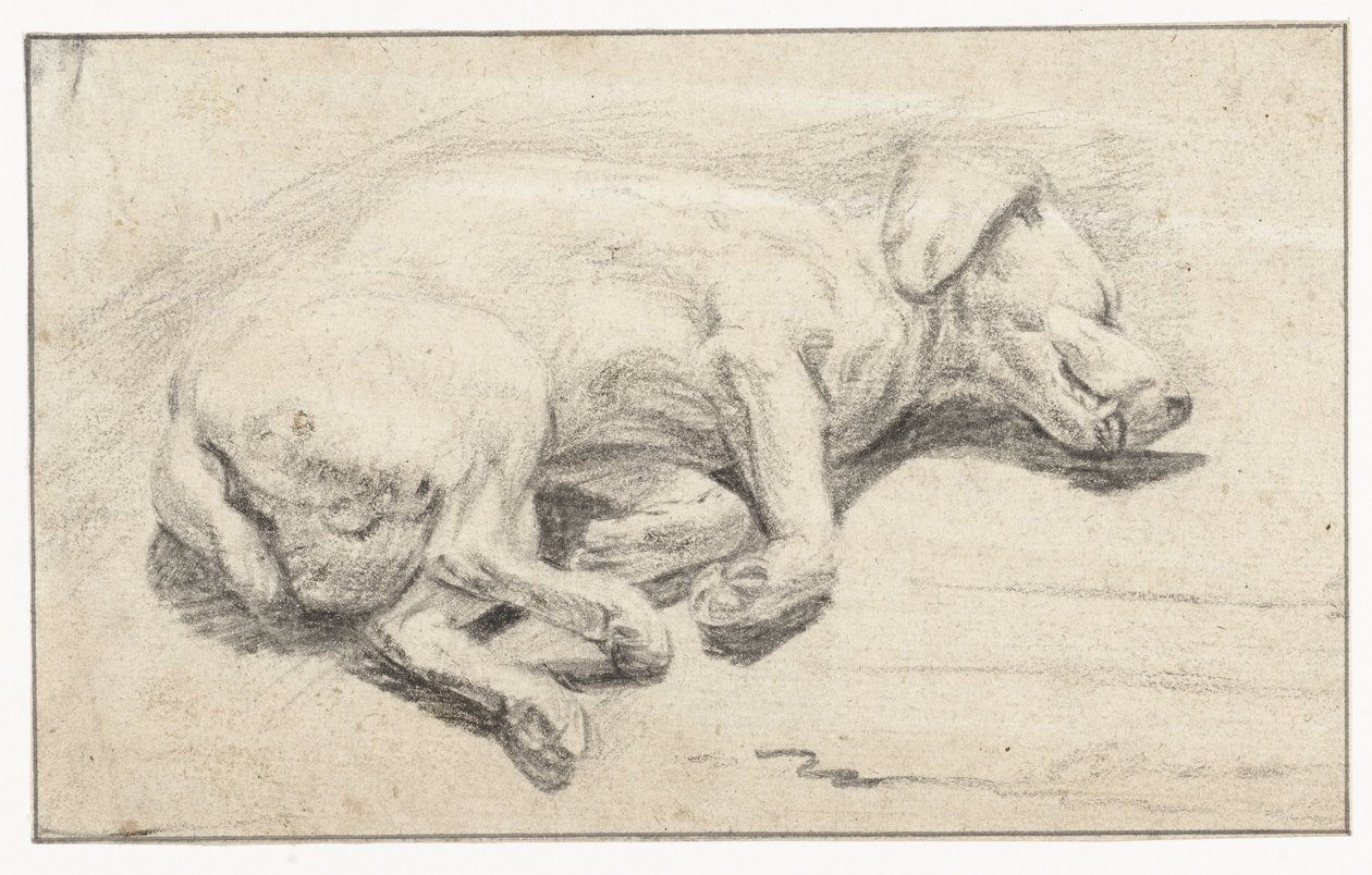 Liggende hund, sovende af Joannes Fijt (attributed to)