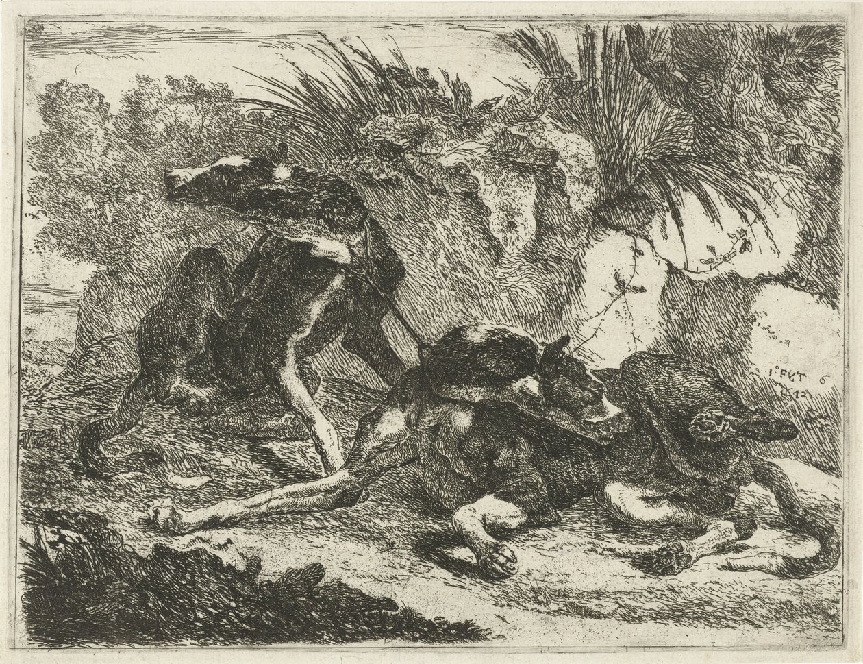 To hunde Hunde (serietitel) af Joannes Fijt