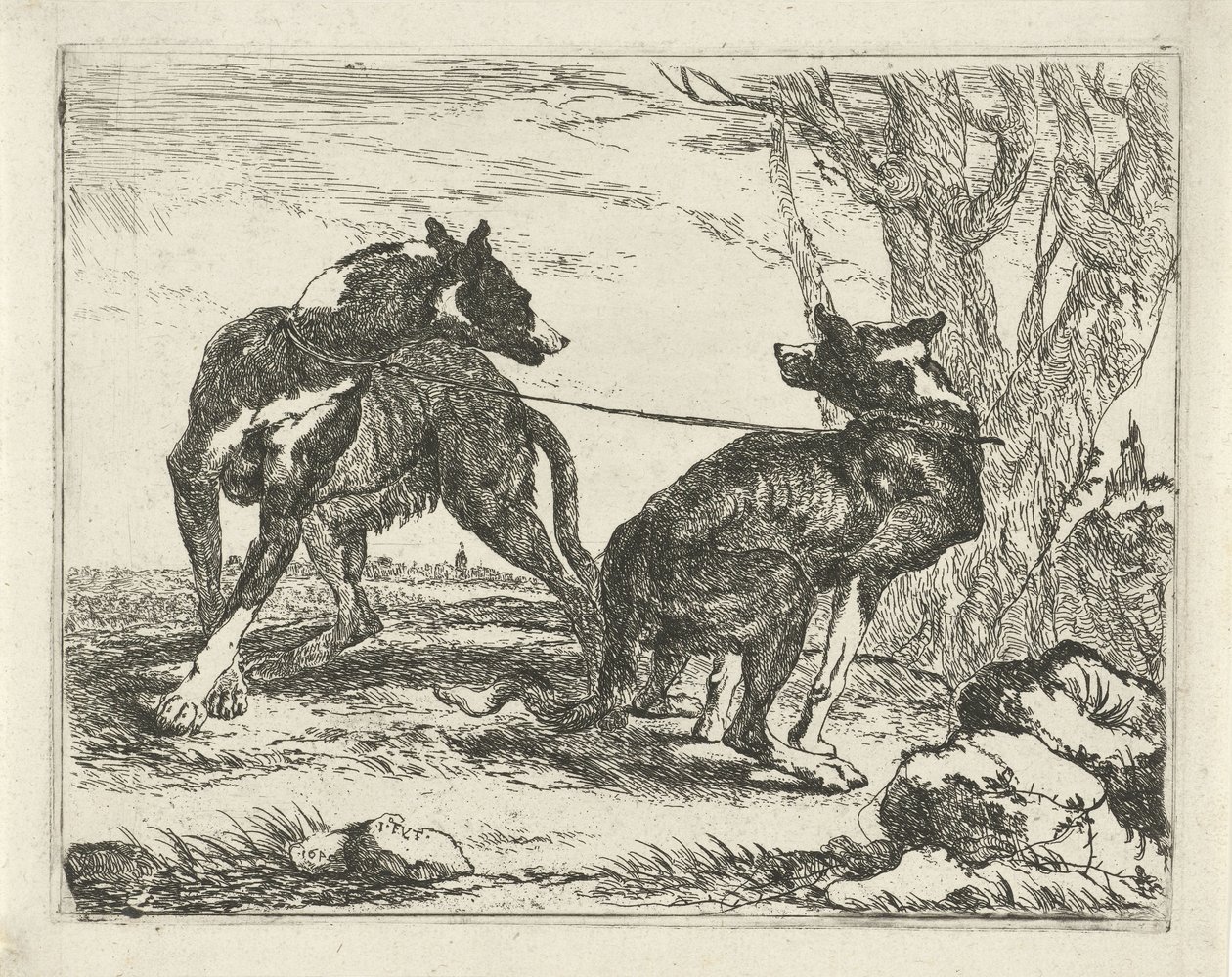To hunde Hunde (serietitel) af Joannes Fijt