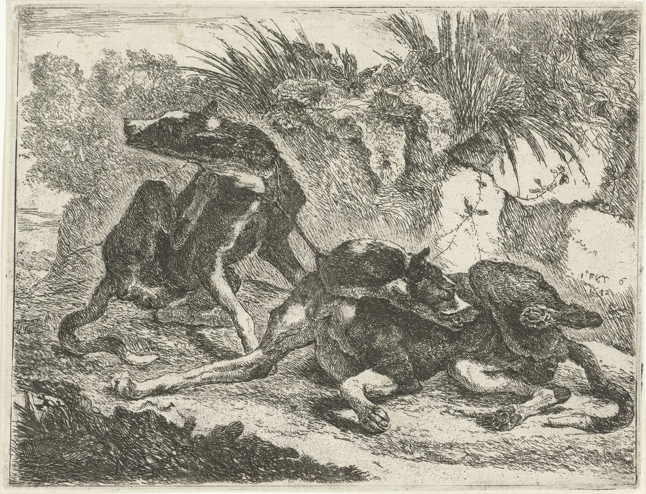 To hunde Hunde (serietitel) af Joannes Fijt
