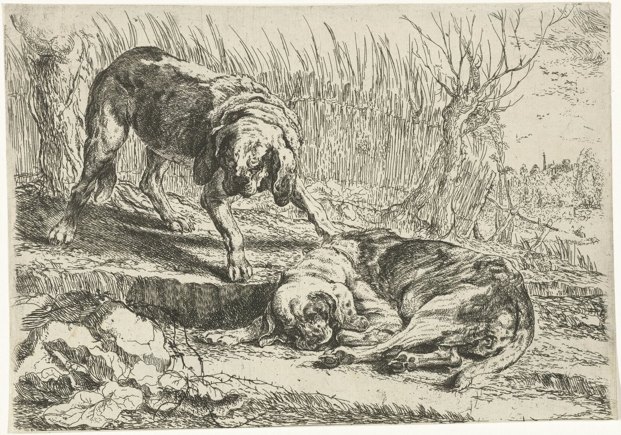 To hunde Hunde (serietitel) af Joannes Fijt