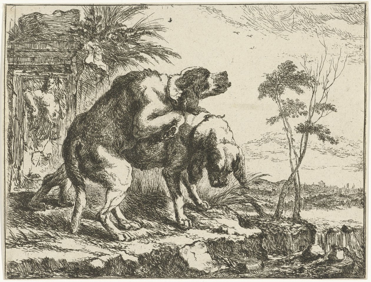 To parrende hunde Hunde (serietitel) af Joannes Fijt