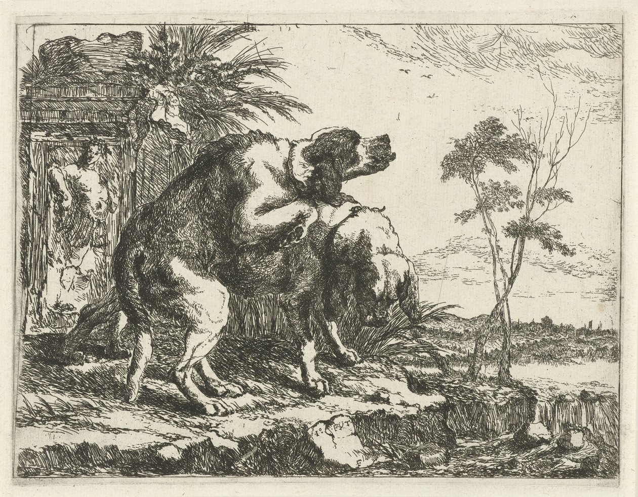 To parrende hunde Hunde (serietitel) af Joannes Fijt
