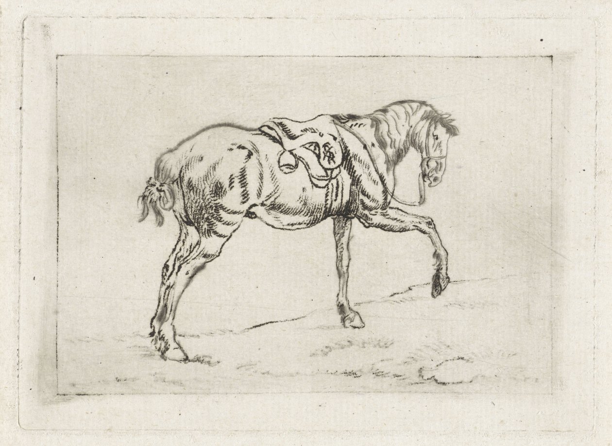 Sadlet hest af Joannes Pieter Visser Bender