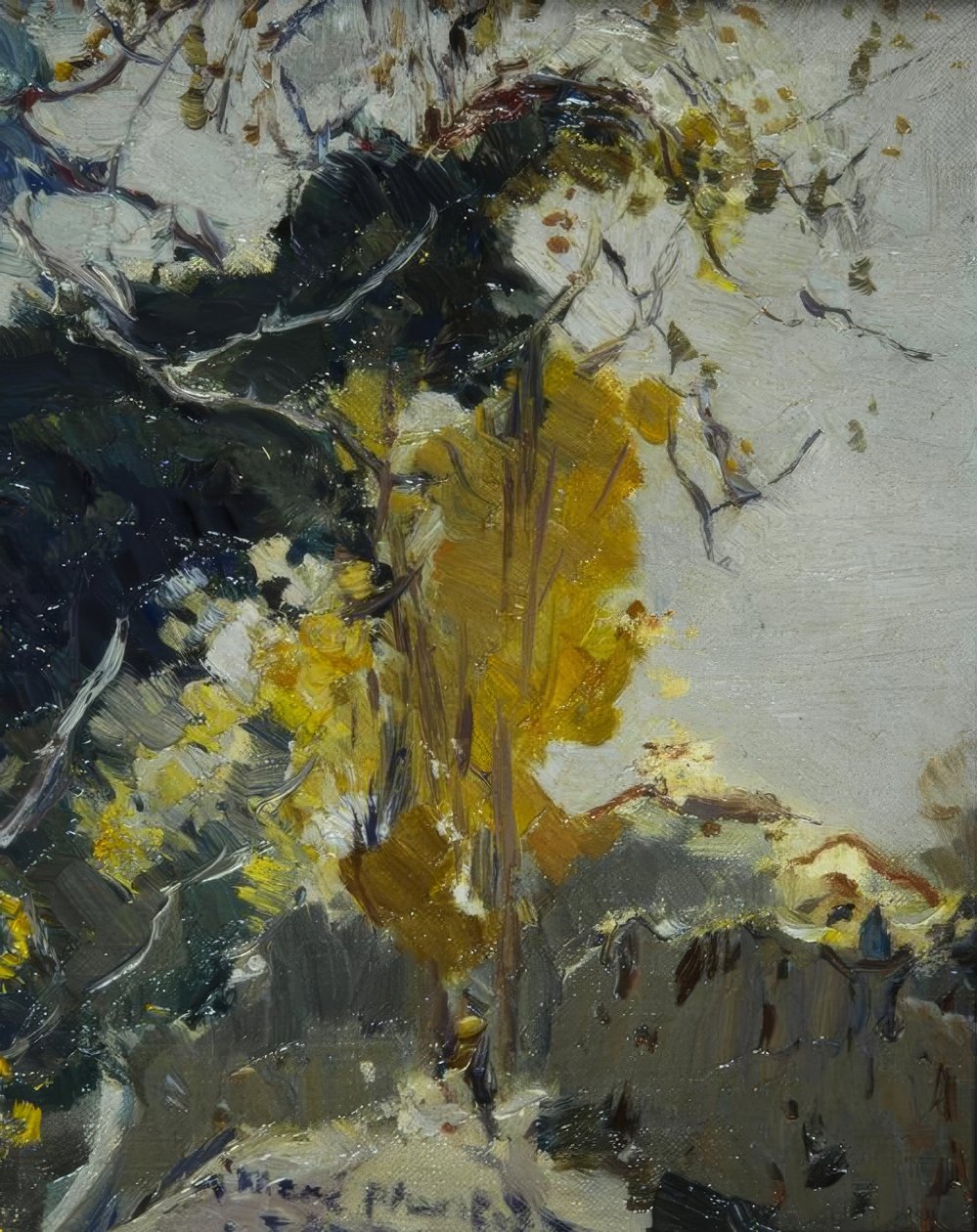 Baum af Joaquim Mir i Trinxet