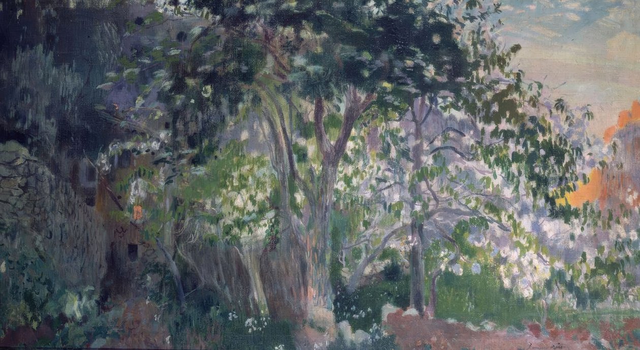 Det grå træ, Sa Calobra, Mallorca af Joaquim Mir i Trinxet
