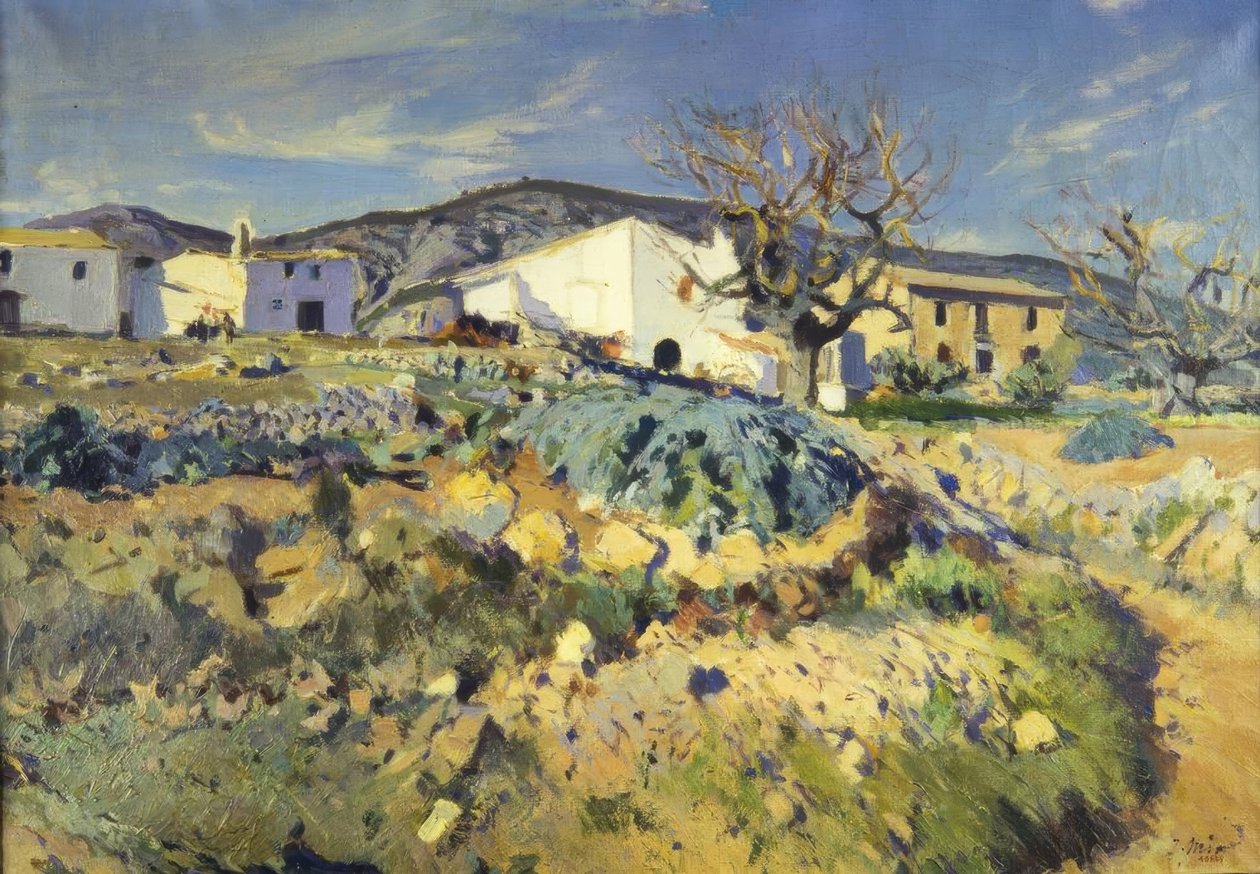 Maliza de Magí af Joaquim Mir i Trinxet
