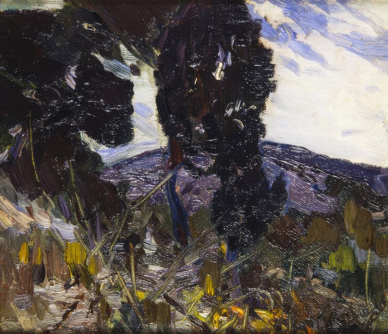 landskab af Joaquim Mir i Trinxet