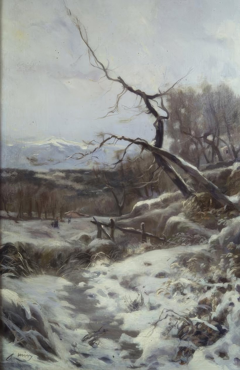 Vinter af Joaquim Mir i Trinxet