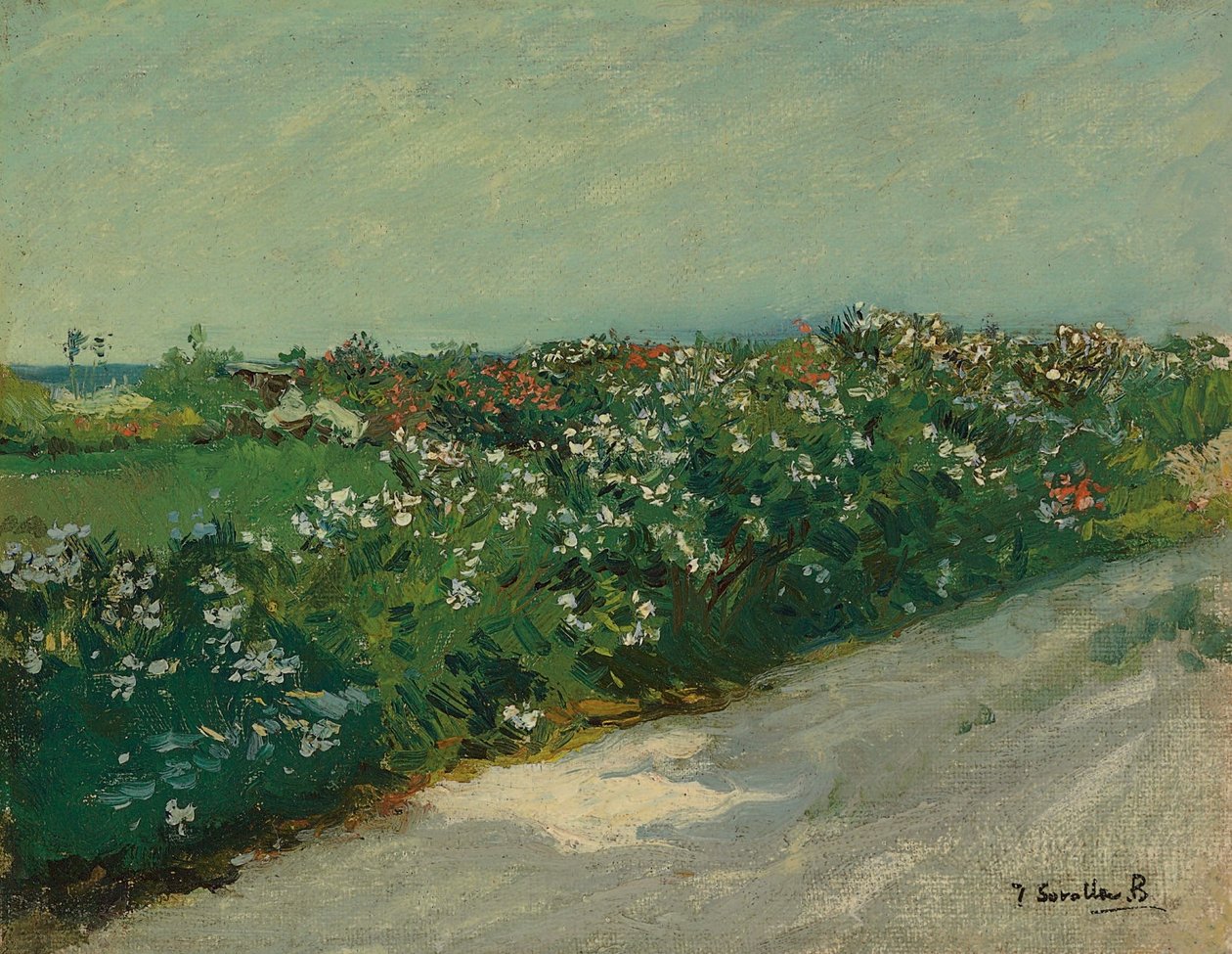Malvarrosa af Joaquín Sorolla