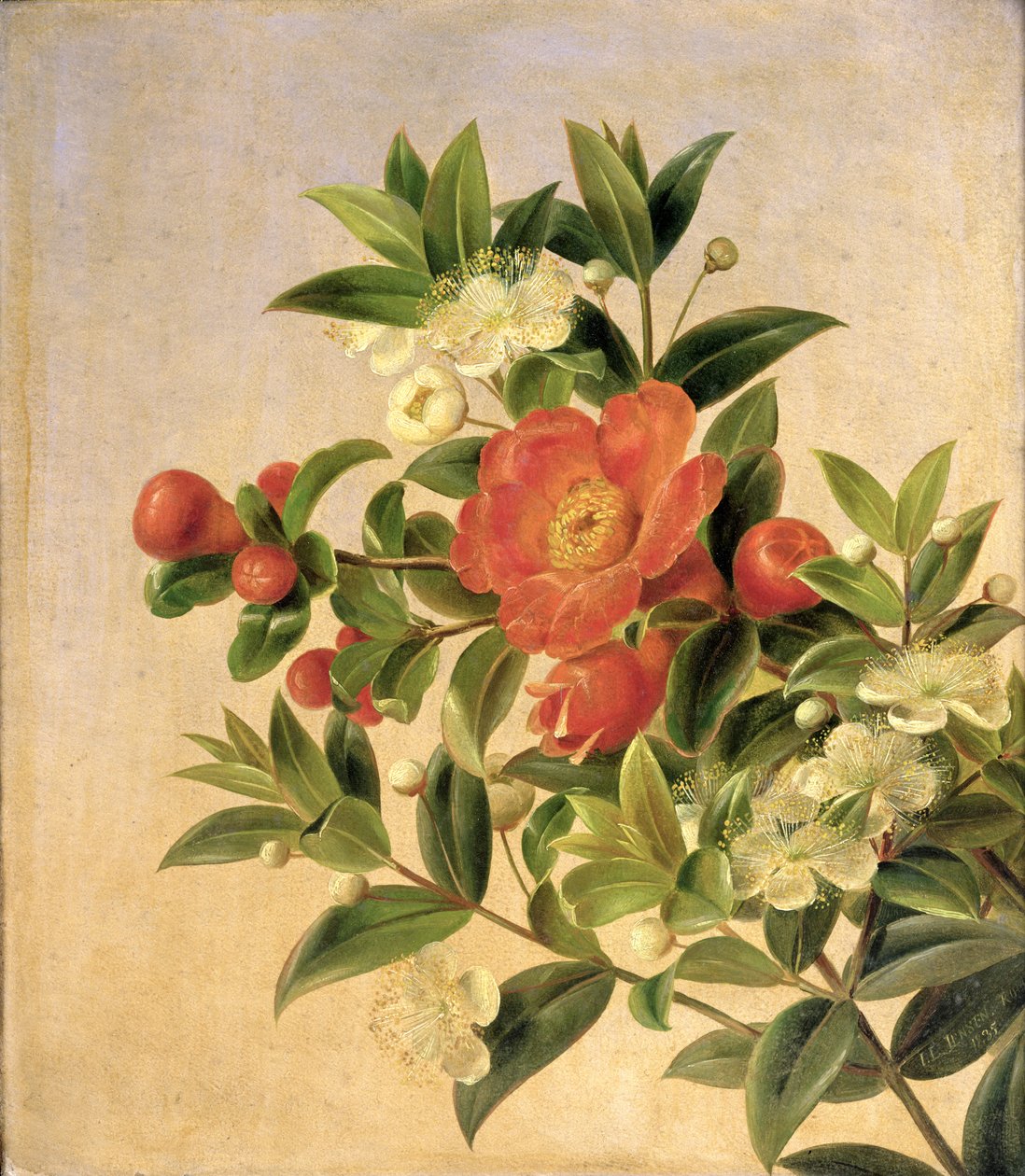 Blomster, 1835 af Johan Laurents Jensen