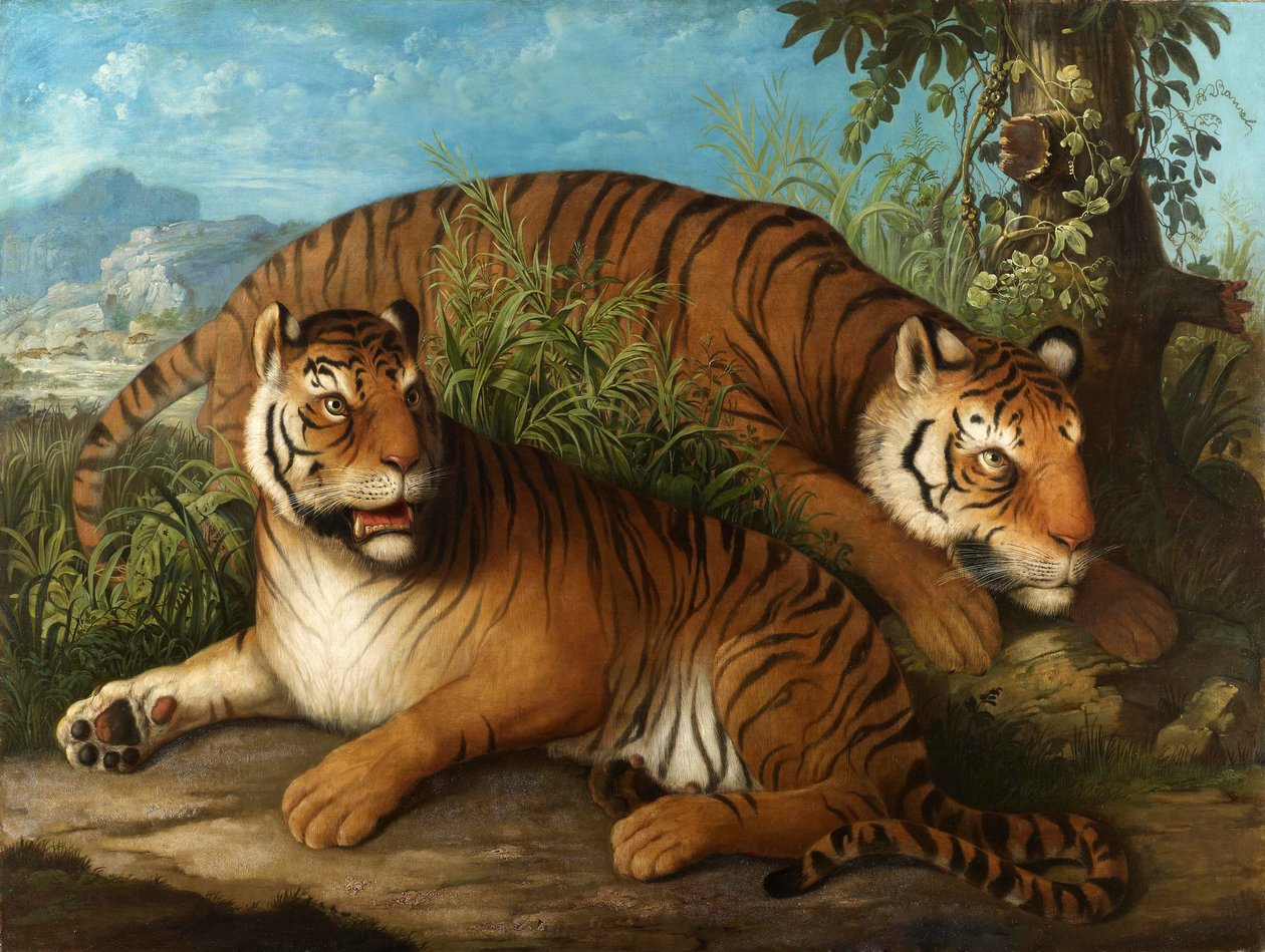 Royal Bengal Tigers af Johan Wenzel Peter