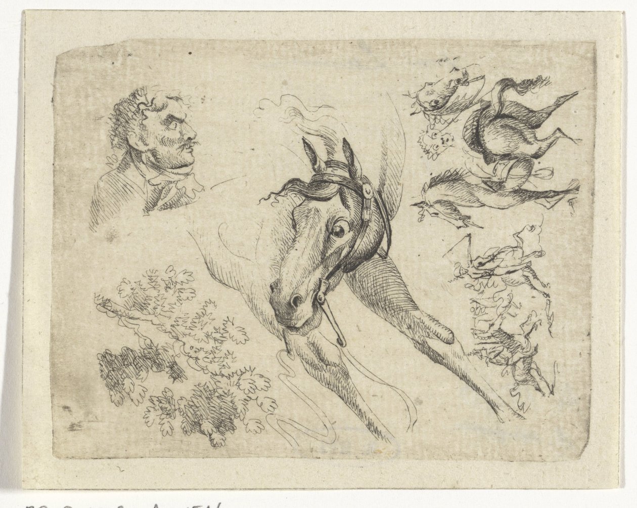 Studieark med heste, en mand og en gren af Johan Bernard Scheffer