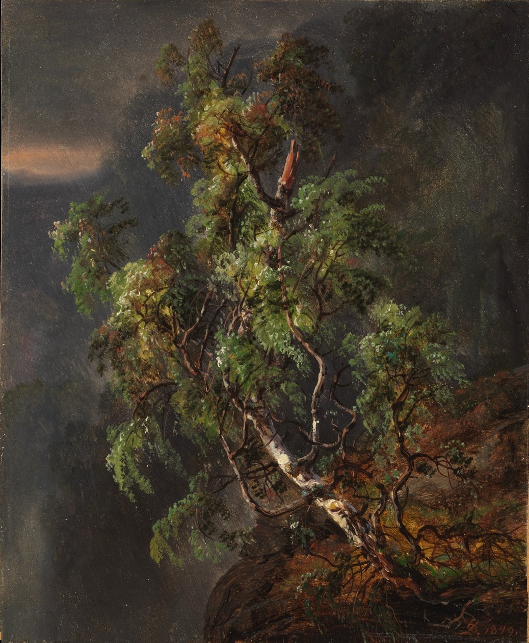 Birketræ i stormvejr af Johan Christian Dahl