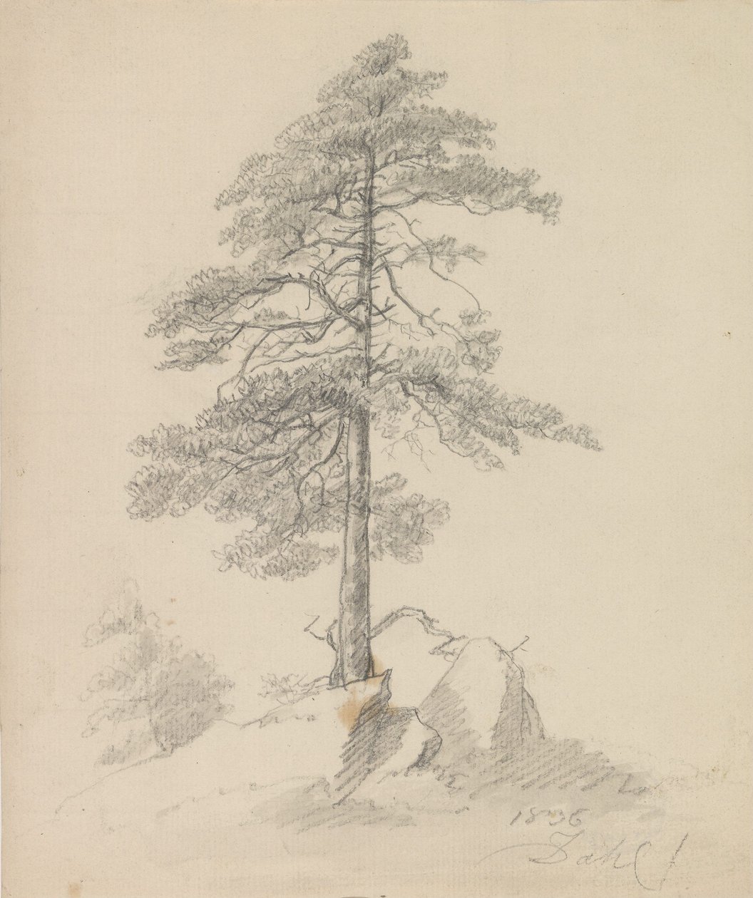Fyrretræer og klipper af Johan Christian Dahl