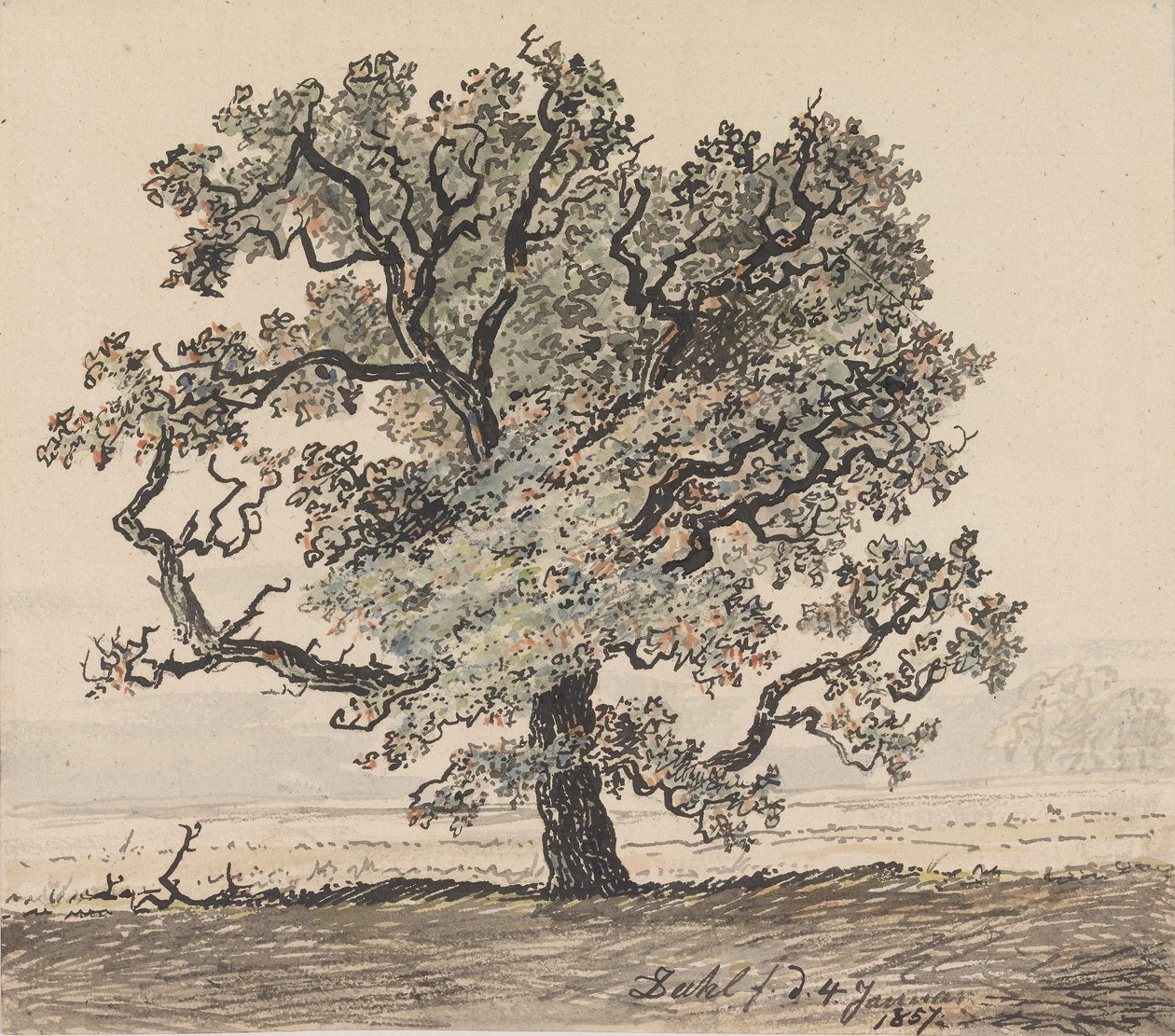 Fyrretræ på sletten af Johan Christian Dahl