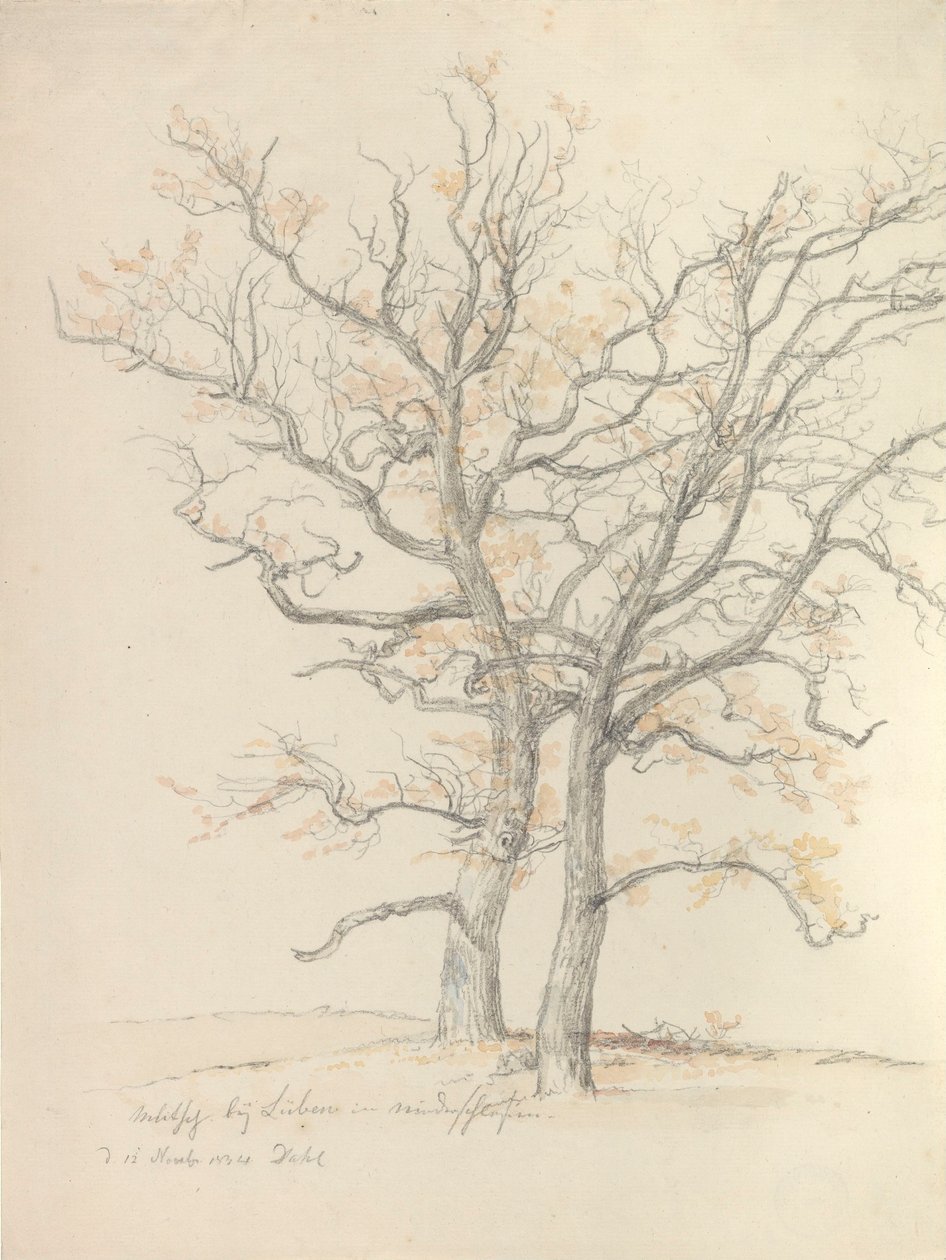 To egetræer af Johan Christian Dahl