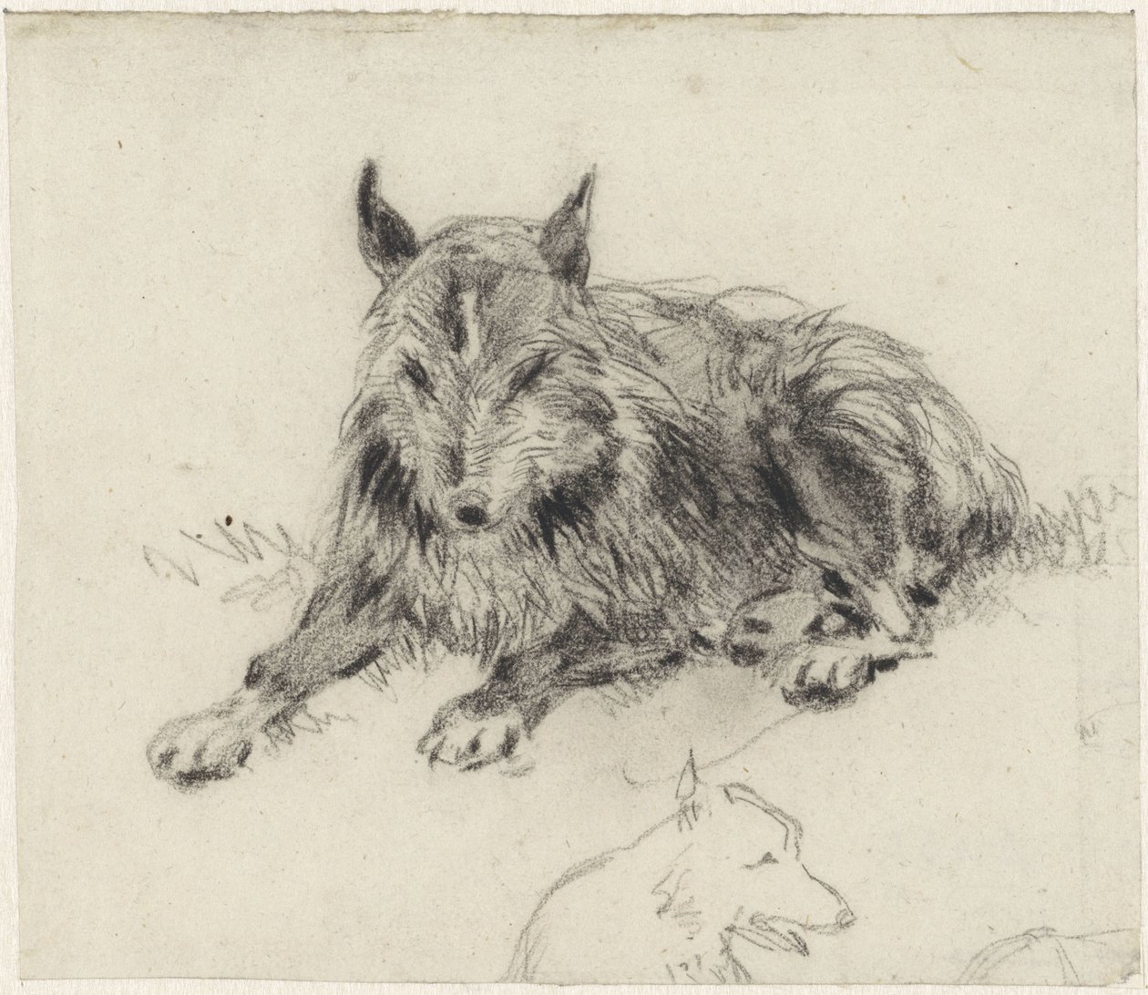 Tilbagelænet fårehund af Johan Daniël Koelman