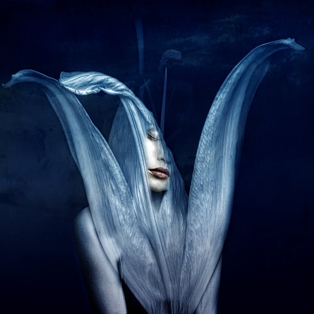 Smukke monstre 3, 2018 (digital fotokunst) af Johan Lilja