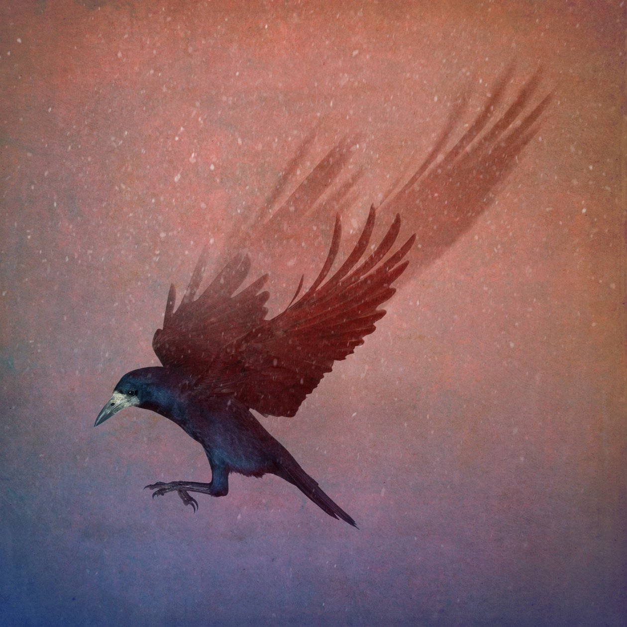 Bird Kingdom, 2018 (fotokunst) af Johan Lilja