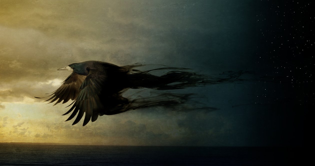 Bird Kingdom 2, 2018 (fotokunst) af Johan Lilja