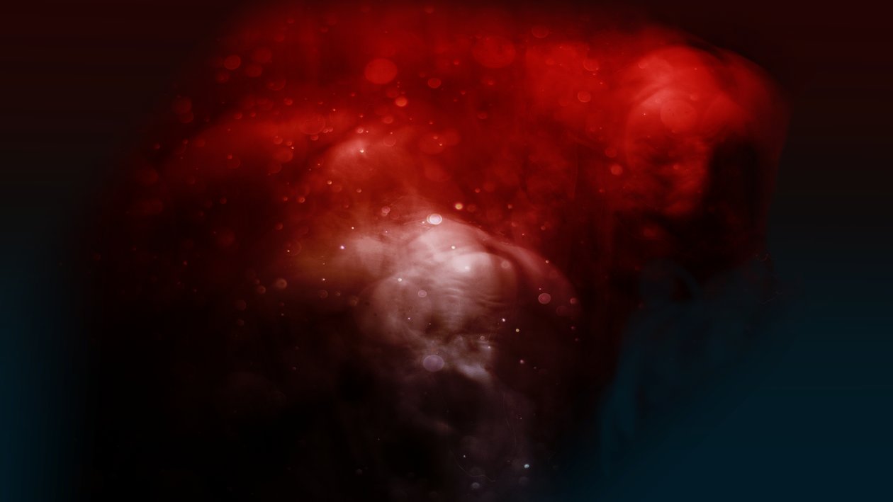 Bloodline The Ugly, 2019 (fotografi) af Johan Lilja