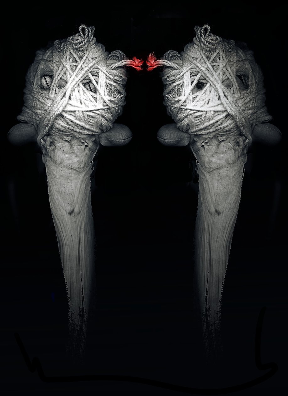 Brothers, 2013 (fotografi) af Johan Lilja