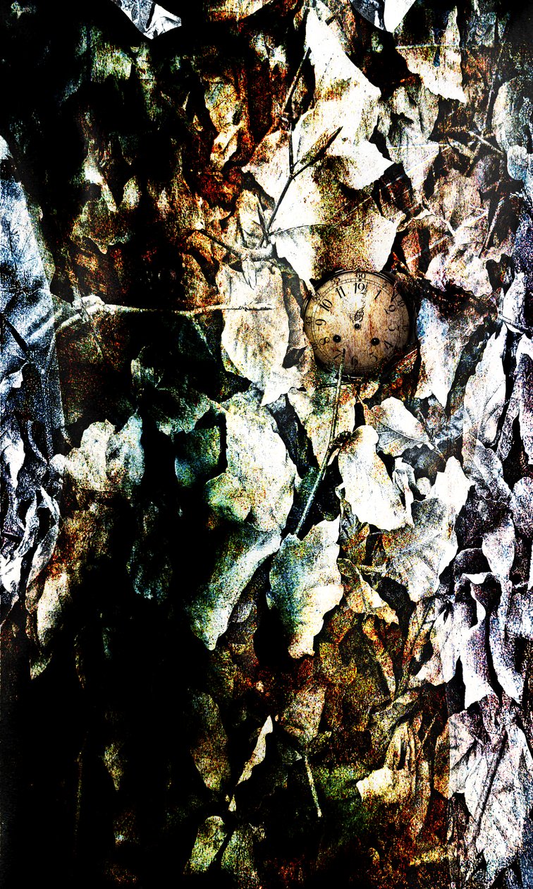 Heart, 2012 (fotomanipulation) af Johan Lilja