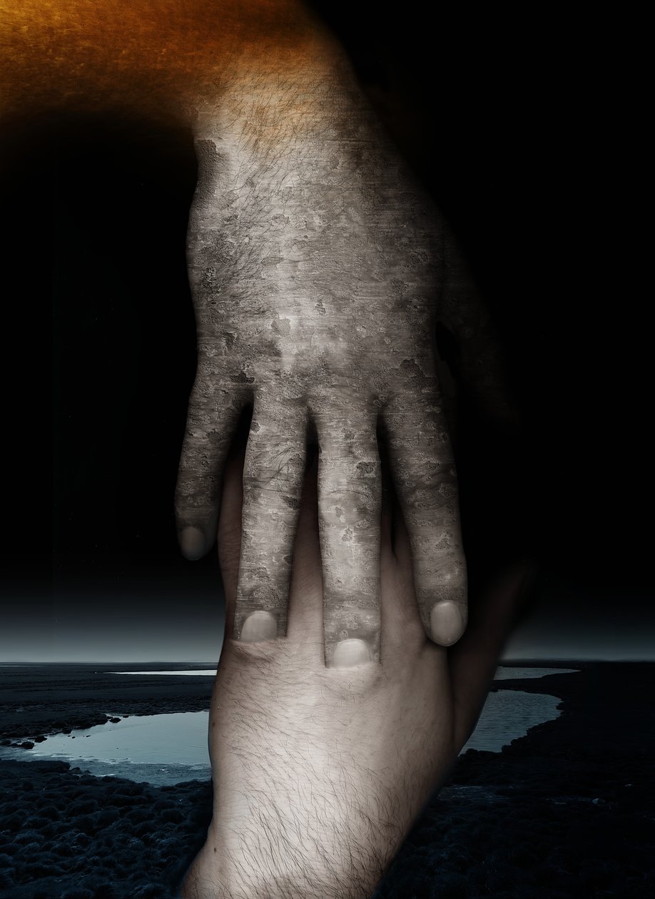 Hjælpende hånd, 2013 (fotografi) af Johan Lilja