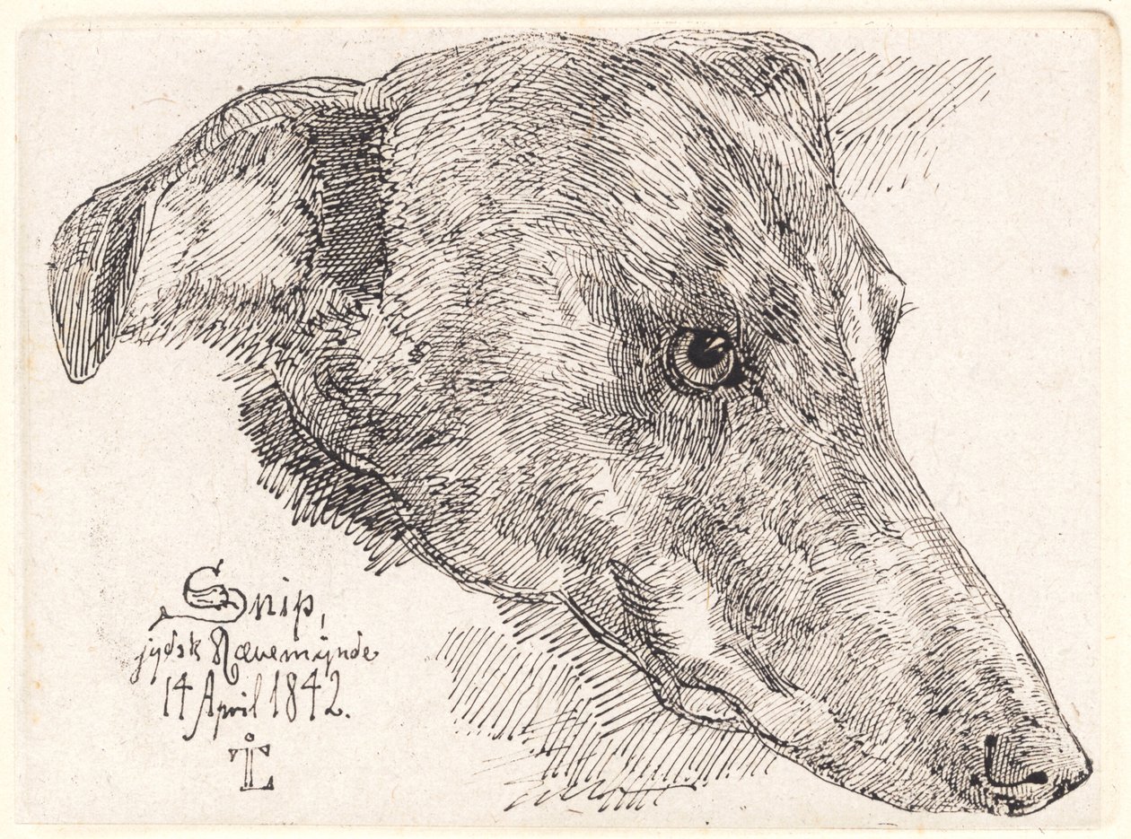 Danish: Hundehoved, Snip af Johan Lundbye