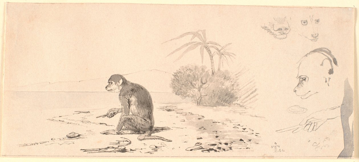 Abekatten. T.h. studier af abe hoveder m.m. af Johan Thomas Lundbye