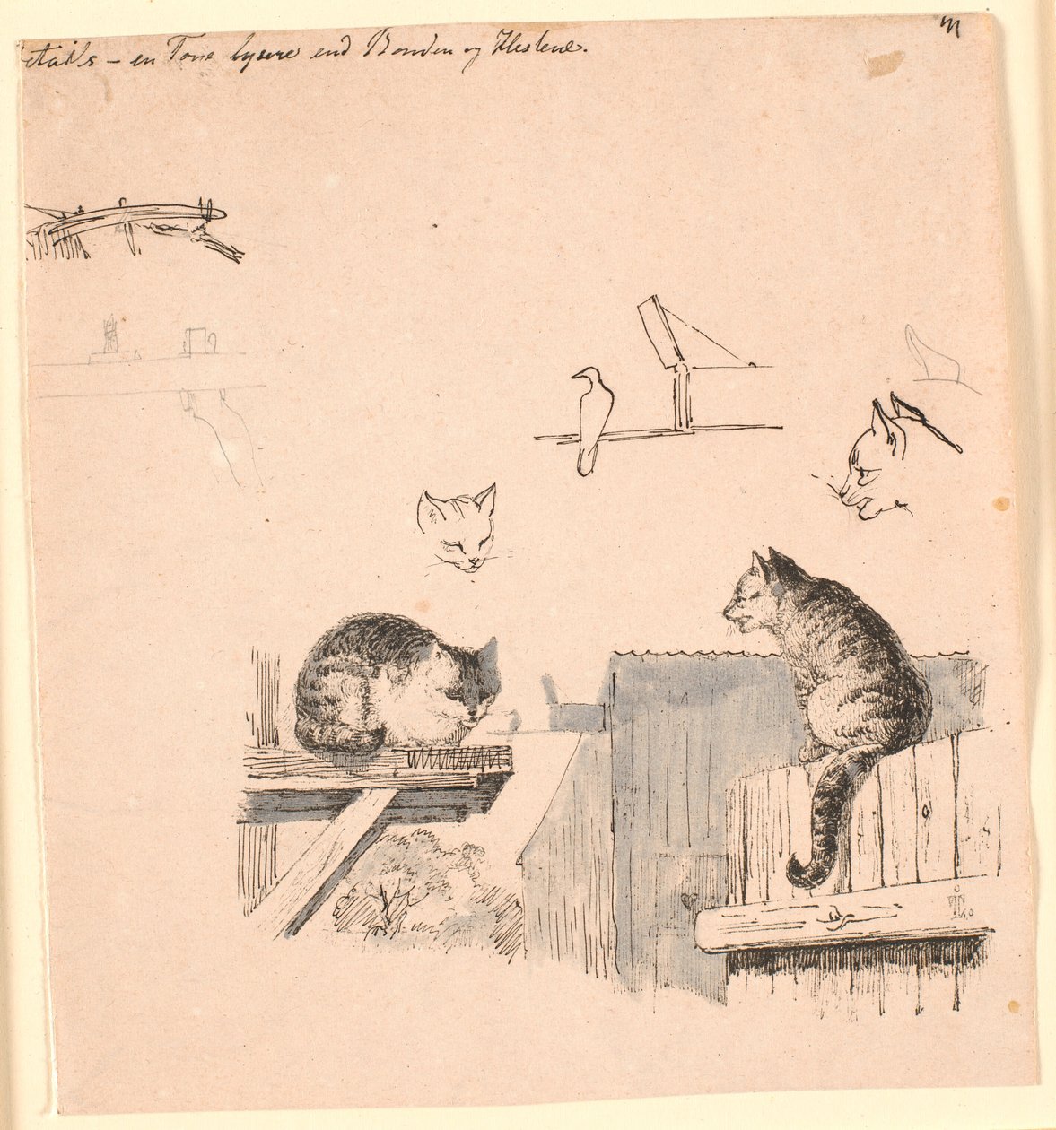 De to katte. F.o. studier af kattehoveder, en fugl, et katteøre og bjælke-værk. Illustration til Kaalunds "Fabler for Børn". Se kommentar fra arkkatalog. af Johan Thomas Lundbye